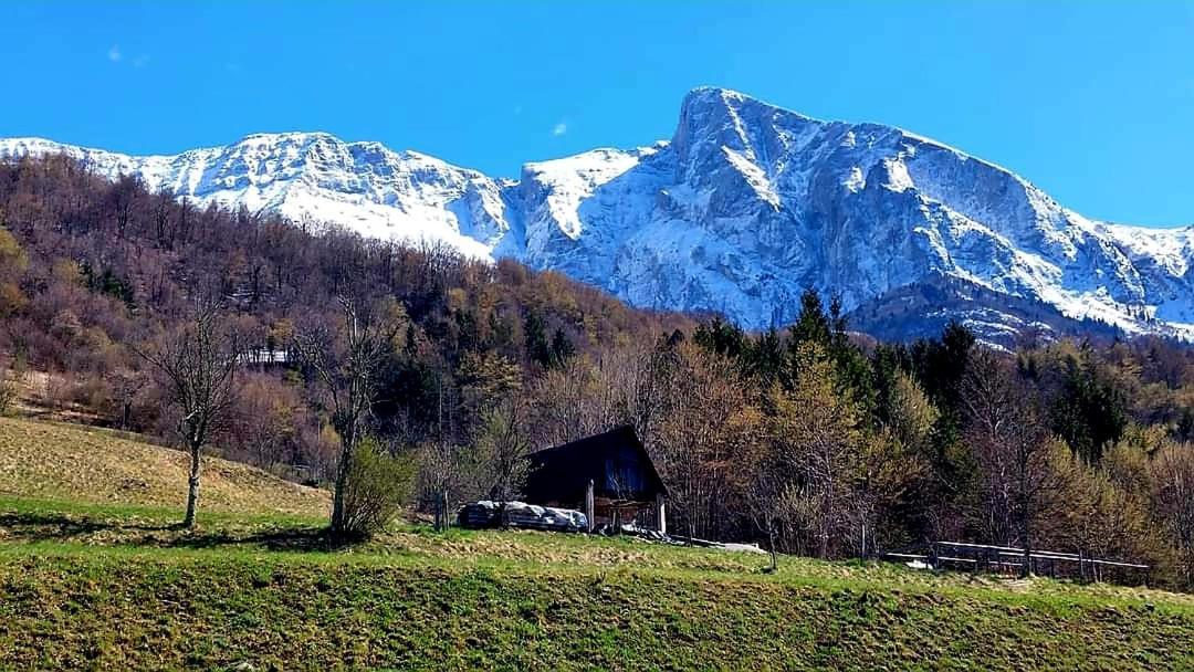 Apartments Krn Drezniske Ravne Dış mekan fotoğraf